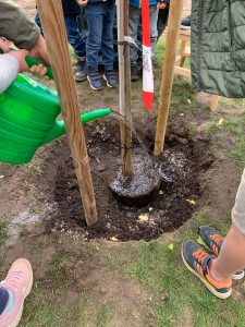 a8358646-e50c-4ae9-af75-1e43636bea43