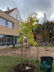 b60211ff-b676-4fe5-8d12-fbe21d1d77d4