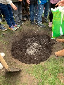 d0ddd9f9-f841-41c1-b116-6c17588a7cba